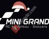 Mini Grand Prix
