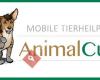 Mobile Tierheilpraxis AnimalCura - Eva Buhmann Tierheilpraktikerin