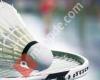 MTV Seesen Badminton