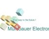 Mühlbauer Electronics