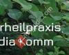 Naturheilpraxis für Osteopathie, Schmerztherapie und Energiemedizin