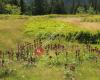 Naturpark Bayerischer Wald