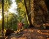 Naturparkzentrum Teufelsschlucht