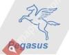 Pegasus