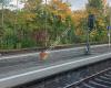 Pegnitz Bahnhof