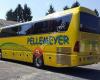 Pellemeyer Busreisen Flugreisen Kreuzfahrten