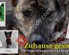 People4Pets - Hunde