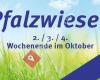 Pfalzwiesen