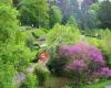 PflanzenVielfalt - Botanischer Garten mit Sammlungen (Museum der Universität Tübingen MUT)