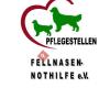 Pflegehunde suchen ein Zuhause Fellnasen-Nothilfe e.V.