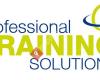 Professional Training Solutions GmbH