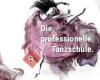 Pure Dance Academy DIE Tanzschule