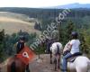 Ritte im Norden - Wanderreiten in Norddeutschland