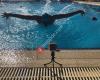 Scientific SwimCoaching - Elmo's Schwimmschule