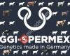 SPERMEX GmbH