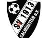 Sportverein 1913 Salmünster
