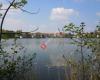 Stadtsee Bad Waldsee