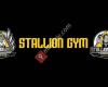 Stallion Gym Herrenberg