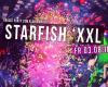 Starfish Aachen