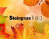 Steingass Trend Günzburg