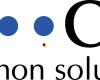 common solutions GmbH & Co KG