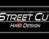 Street Cut