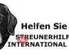 Streunerhilfe International