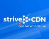 Strive CDN