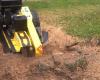 Stump Grinding - der Stumpenfräser -