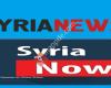 Syria News306