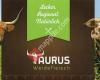 Taurus Weidefleisch