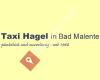 Taxi-Hagel