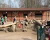 Tierpark Gettorf