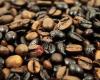 Ulinzi Conservation Coffee