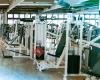 VeniceBeach Schwetzingen Lifestyle Fitness