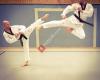 VfB Schloß Holte - Taekwondo