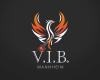 VIB Valerias International Business