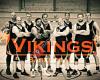 Vikings Basketball Schleswig