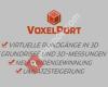 Voxelport