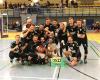 VSV Oelsnitz - Spitzenvolleyball im Vogtland