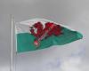 Walesfreunde/ Friends of Wales - Neuenrade
