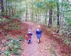 Wandern mit Kleinkindern im Harz