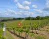 Weingut Burgberg Eimann & Söhne