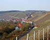 Weingut  & Edelobstbrennerei Dorsch-Römmelt
