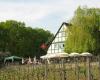 Weingut Rosenhof