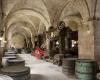 Weinmarktplatz / Wine Marketplace / Wine Industry Trade / Wein Trade / Wine Awards