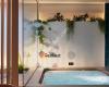 wellnest Bonn ~ euer privater Wellness-Bereich in der Nordstadt