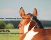 WHAW - Western Horse Academy Walsrode