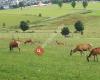 Wild- und Freizeitpark Willingen