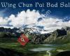 Wing Chun Pai